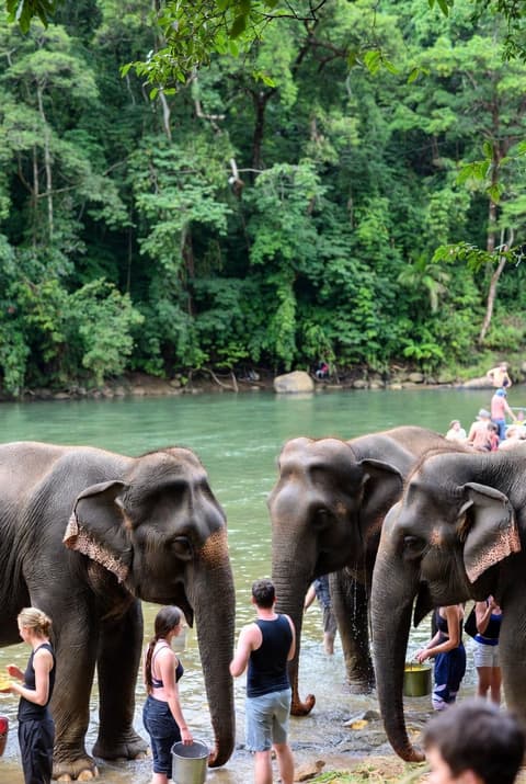Northern Thailand 4 Nights
