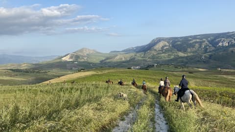 Italy: Sicily - the wine route