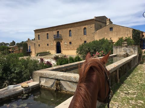 Italy: Sicily - the wine route