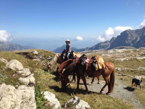 Italy: Trentino: the brenta dolomites