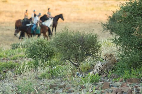 Botswana: Horseback safari in the tuli reserve, limpopo valley