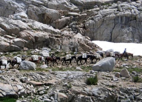 Stati Uniti: California - spedizione nello Yosemite Park