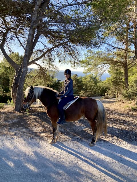 Spain: Ibiza - the “white island” between yoga & horses