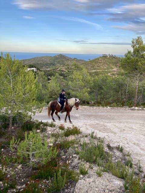 Spain: Ibiza - the “white island” between yoga & horses