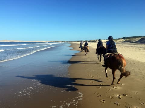Uruguay: The wild lands of the criollos