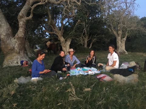 Uruguay: The wild lands of the criollos