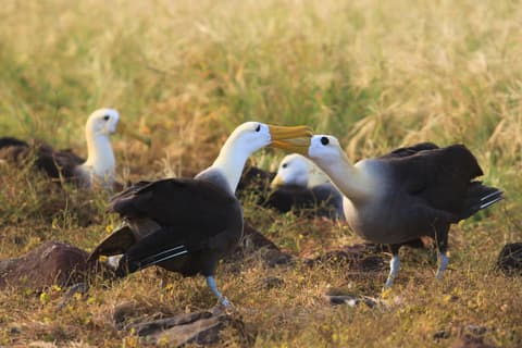 Crucero Archipel I Itinerario A