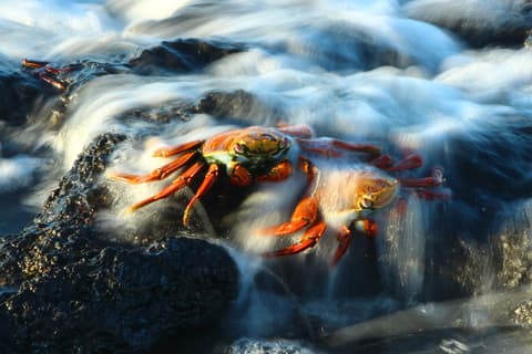 Crucero Archipel I Itinerario B