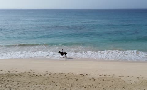 Boa vista: la selvaggia isola di boa vista