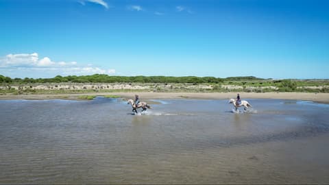 Camargue: Terra Gitana