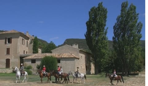 Francia: Provenza - profumi estivi di provenza