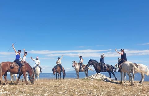 Francia: Provenza - profumi estivi di provenza