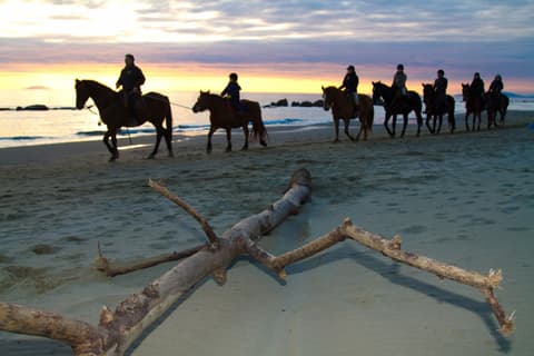 Italia - Toscana: assaggio di maremma