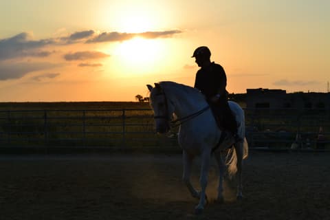 Italia - Basilicata: i sassi di matera ed il parco della murgia materana