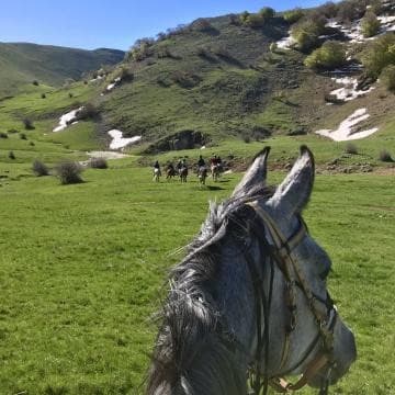 Italy: Sicily: the madonie natural park