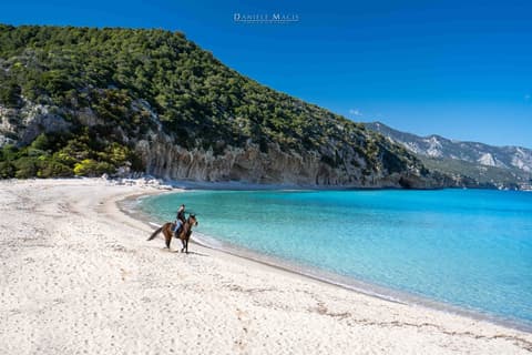 Italia - Sardegna: il supramonte di dorgali & cala gonone