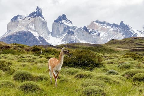 Patagonia - 5 Días, Noche en el hotel de Torres del Paine