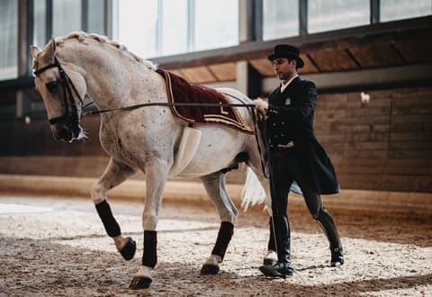 Slovenia: equestrian stay & dressage in lipica