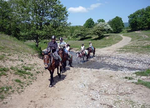 Romania: the transylvania of bram stoker