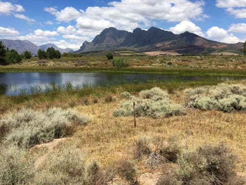 Sud Africa: western cape - la regione delle wineries