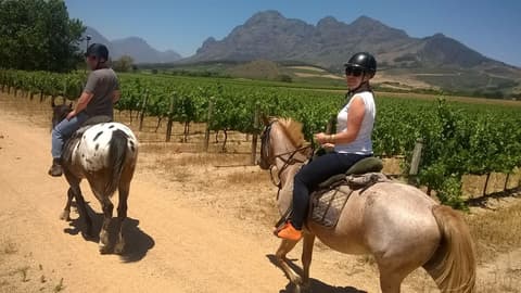 Sud Africa: western cape - la regione delle wineries