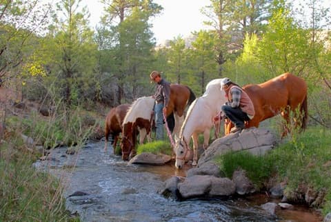 United States -Utah: the Capitol Reef national park