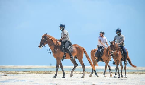 Zanzibar: island of spices