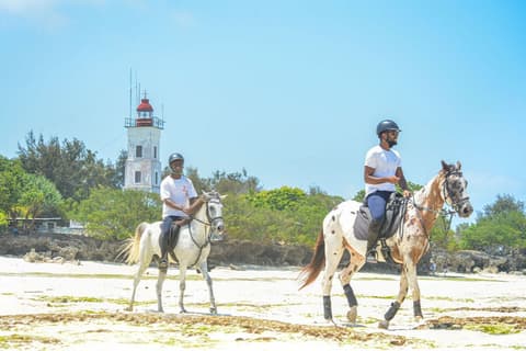 Zanzibar: island of spices