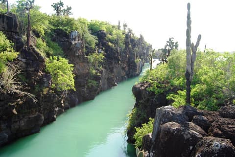 Galapagos Inter Islas Santa Cruz 1 Navegacione - 5 Días