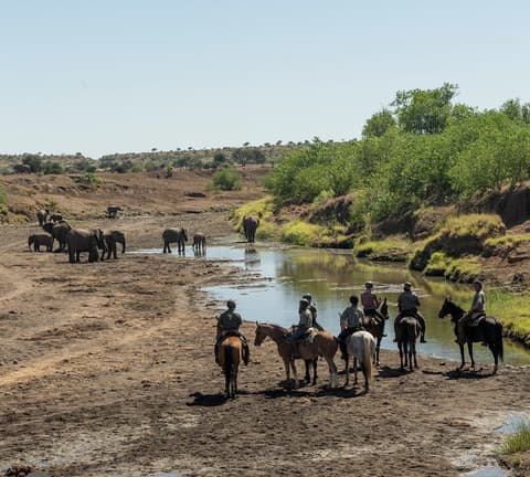 La regione del Limpopo: Sudafrica & Botswana