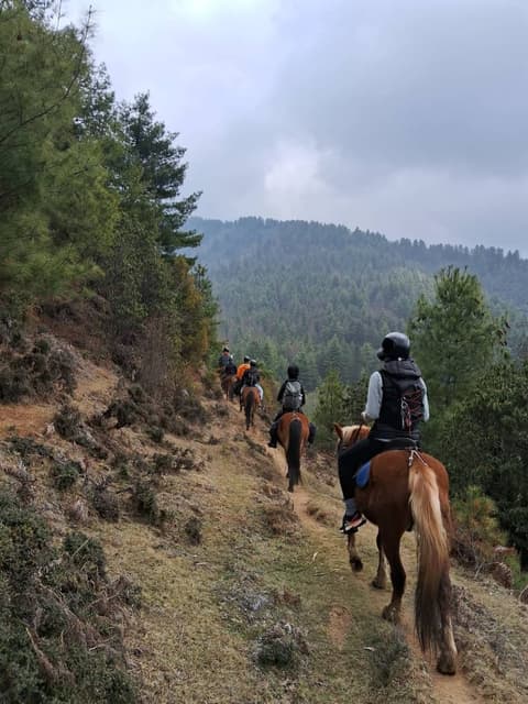 Gangtey, Glacial Valley