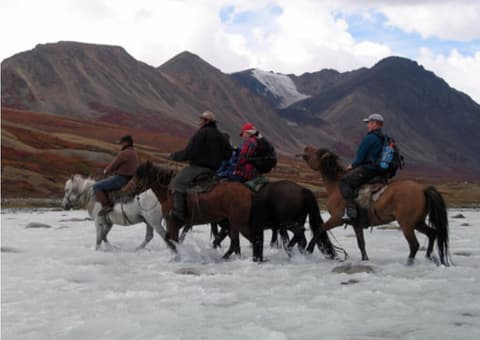 La steppa del deserto del Gobi