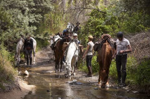 Discovering Cappadocia
