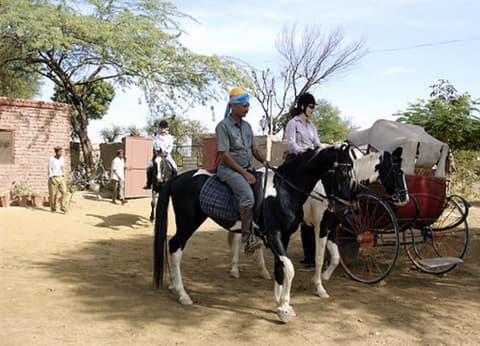 Pushkar fair and horse safari in Rajasthan