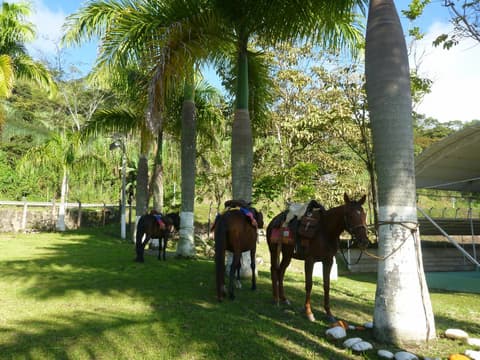 The royal road: from Bogotá to Barichara