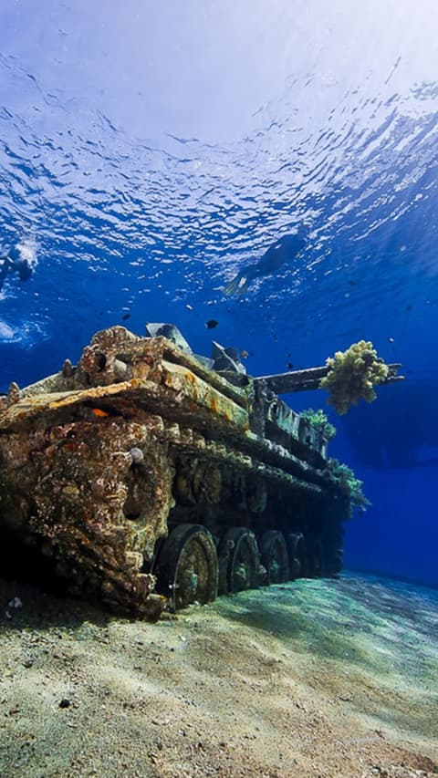 Encantos de Jordania con Playa