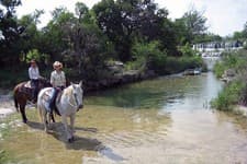 Texas: Soggiorno equestre in ranch nella terra dei cavalli