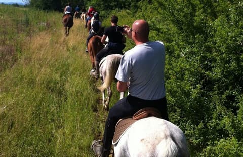 Piemonte: Horses and wine in Monferrato area