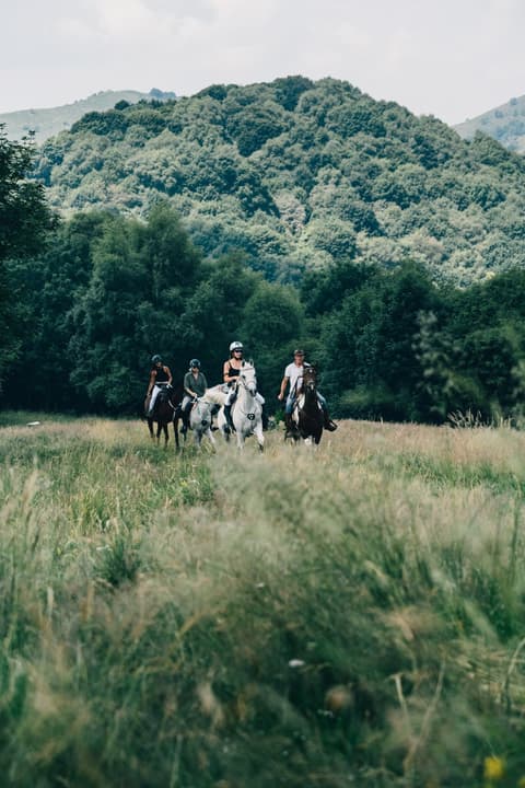 Lombardy: Como lake, Italian icon