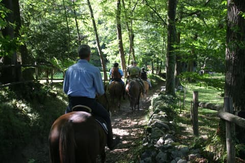 Lombardia: Lombardia d'acqua