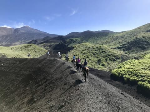 Sicilia: Siciliana selvaggia, dalle Madonie all'Etna