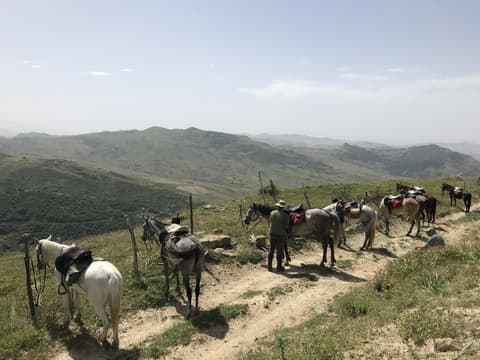 Sicilia: Siciliana selvaggia, dalle Madonie all'Etna
