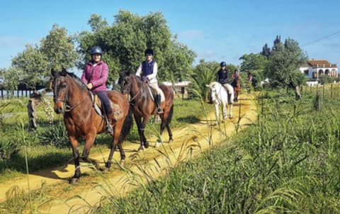 Andalusia: Andalusia trails