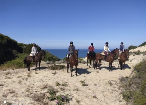 Andalusia: Andalusia trails