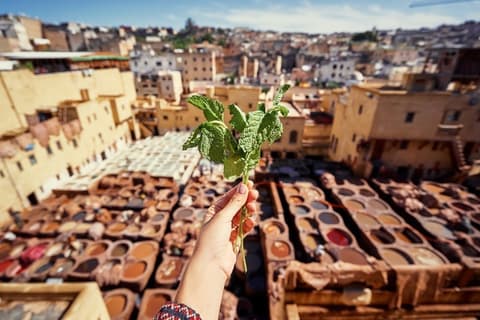 Fez Mística y Ciudad Roja