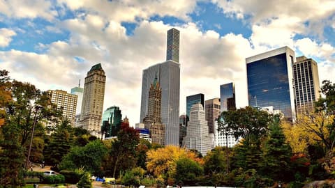 Florida Sunshine & New York
