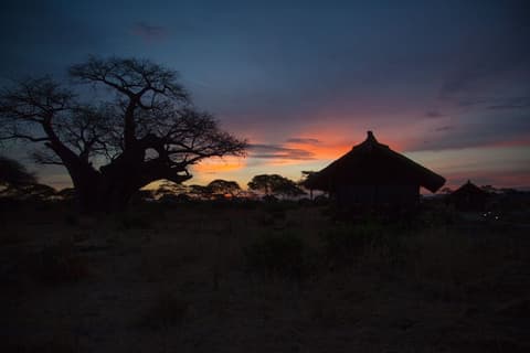 Safari KST 514 Simba