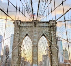 Big Apple Explorer
