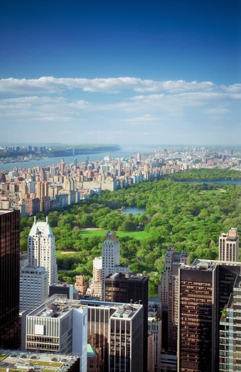 Big Apple Explorer