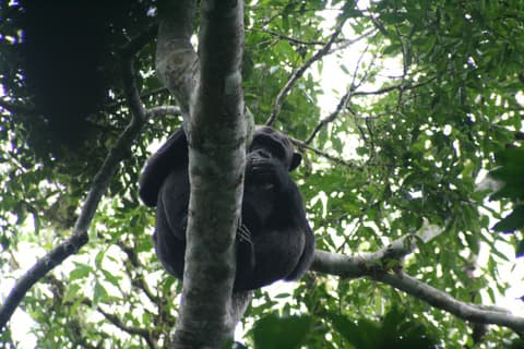 Maravillas de Uganda